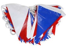 Load image into Gallery viewer, 100&#39; Back Stroke Pennant